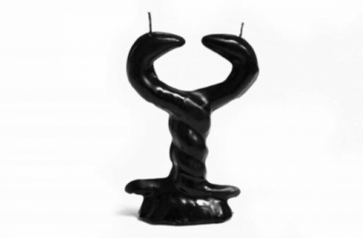 Serpiente 2 cabezas